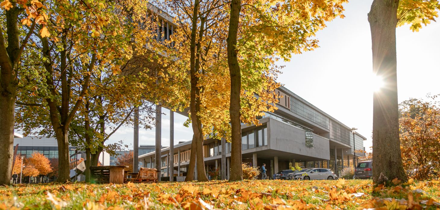 20241024_Bibliothek_Herbst_1460px_700_px(c) Jana Dünnhaupt Uni Magdeburg